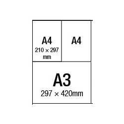 Sv Bogorodica i Isus - A5